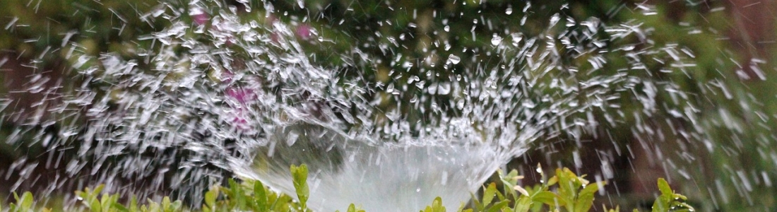 Consejos para ahorrar agua en explotaciones agrícolas