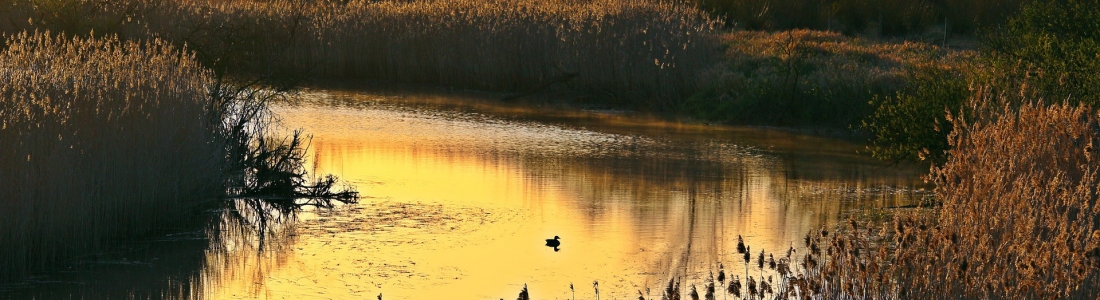How is water management in Spain?