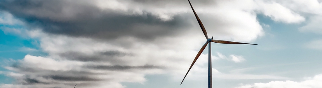 The world wants to opt for renewables